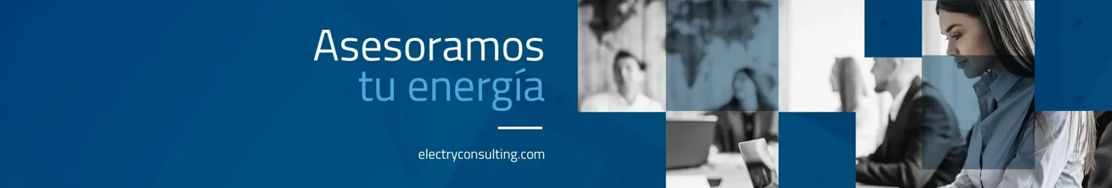 Agendar una visita con Electry Consulting
